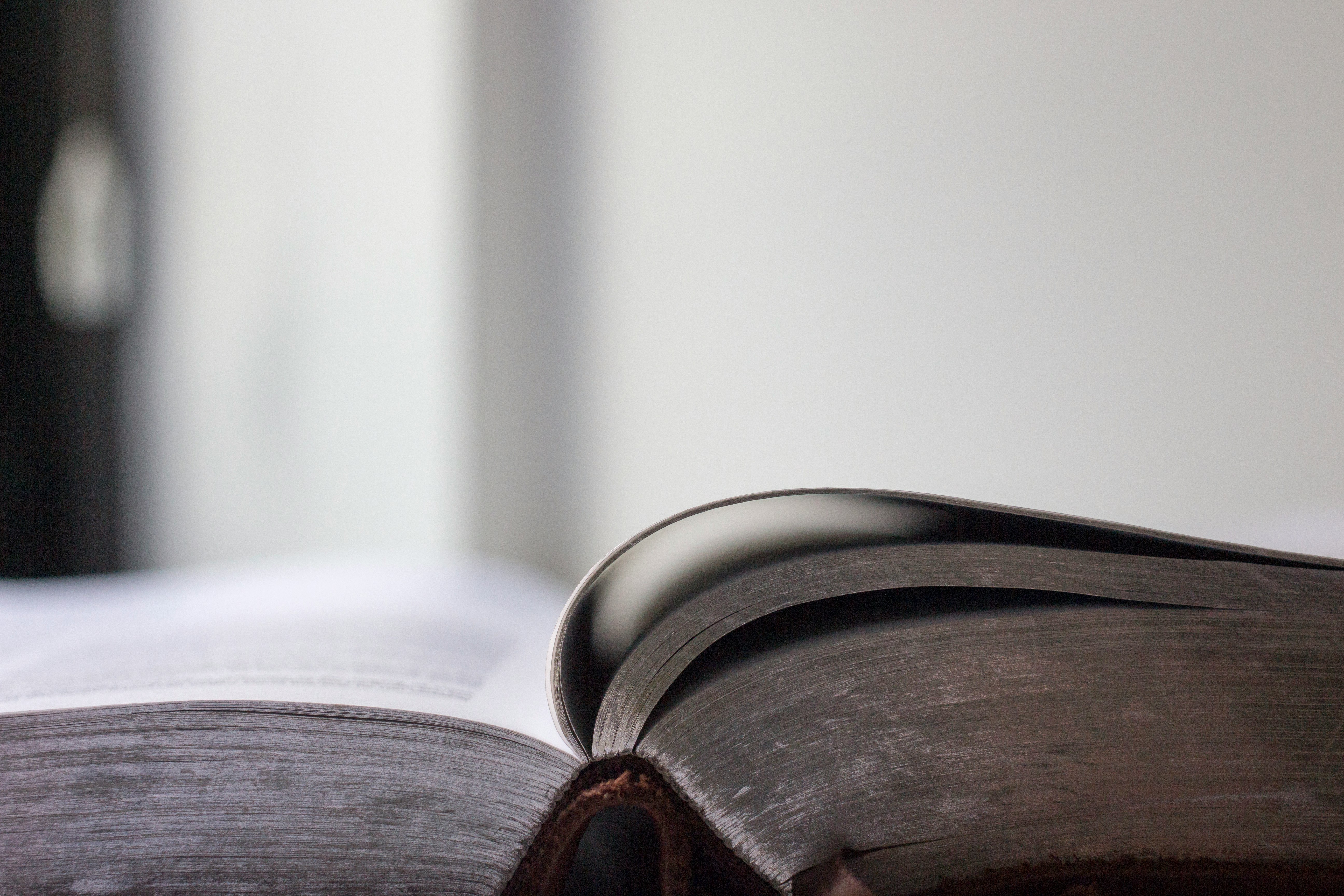 selective focus photo of an opened book